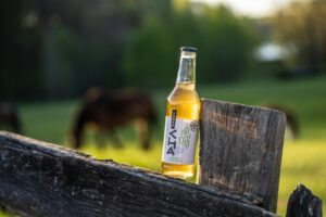 Sesja produktowa - butelka kombuchy na ogrodzeniu, w tle konie o zachodzie słońca